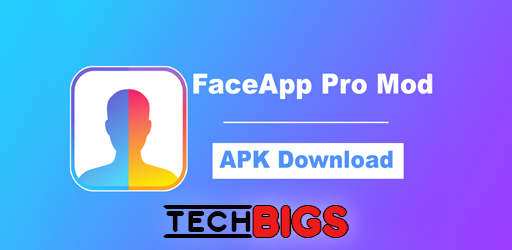 FaceApp Pro APK 11.6.1